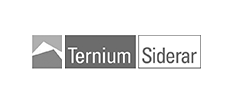 Ternium Siderar